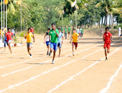 Celebrations photo