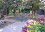 Campus photo
